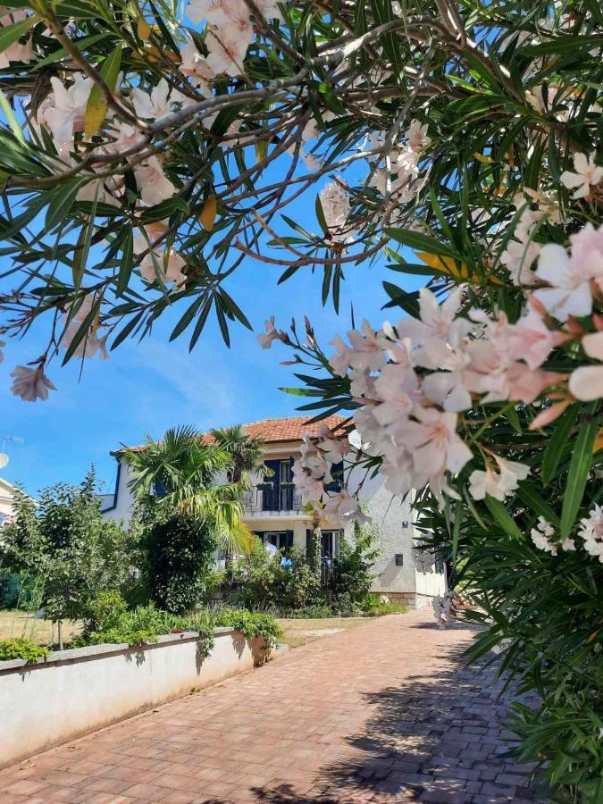 Apartments Palm House Rovinj Bagian luar foto