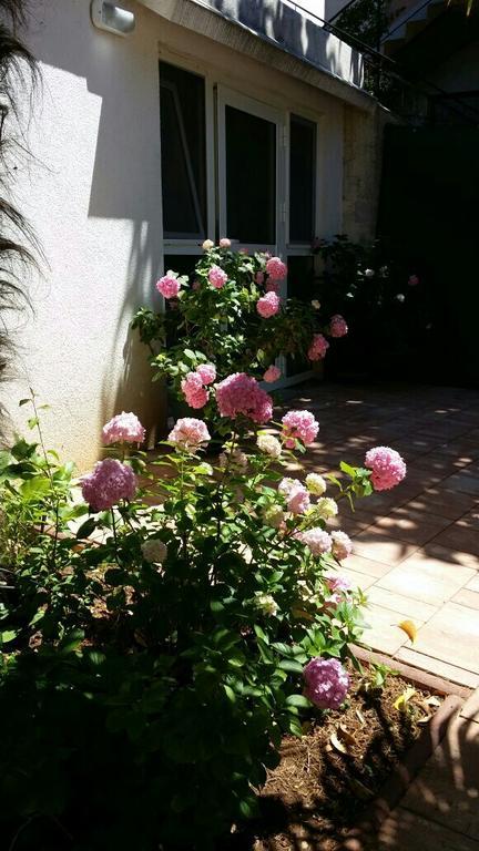 Apartments Palm House Rovinj Bagian luar foto